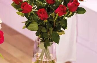 Beautiful Blooms Valentines Dozen Red Roses