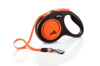 Neon Orange Flexi Belt