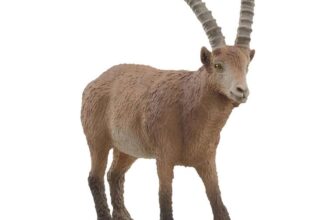 SCHLEICH 14873 Ibex Wild Life Figurine, 5 x 9 x 3 cm