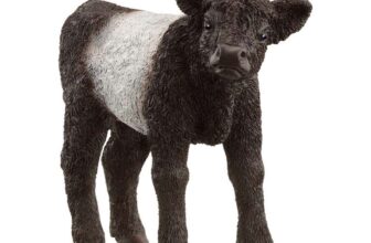 Schleich Galloway Calf Figurine