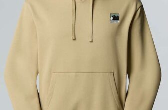 The North Face Mens Mountain Logo Relaxed Hoodie