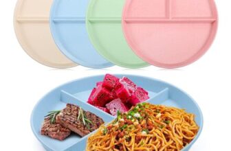 4-Pack Divided Portion-Control Plastic Plates, 9-Inch, Reusable, Multi-Color