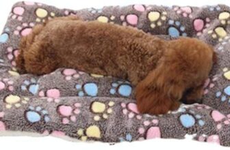 Dog Bed Mattress Multipurpose Machine Washable Puppy Mat Cushions for Small/Medium/Large Dogs and Cat Cages XZ006 (61 41 CM, Coffee)