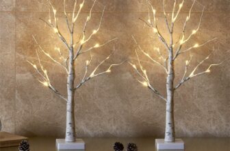 Eambrite Set of 2 Small Birch Twig Tree Lights Photo Display Tree with 24 Warm White LEDs Battery Operated Tabletop Decoration for Xmas Home Party Wedding (60cm/2ft)
