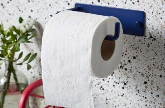 Elements Toilet Roll Holder – Free C&C Only