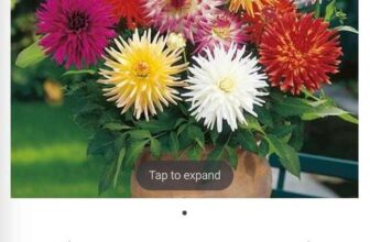 Free Delivery On Everything – Including 89p Seed Packs, Plants Bulbs, Garden Equipment