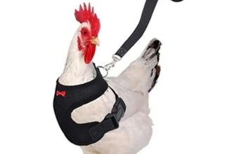 Pet Adjustable Harness Leash for Chicken / Puppy Comfortable Breathable Pet Vest for Small Dogs – Sold by GLB PET Store (Welcome Deal)