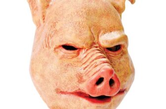 Pink Rubber Latex Horror Pig Mask, Pack of 1