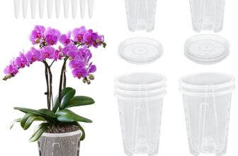 10 Pcs Clear Orchid Pots, Plastic Plant Pot with Holes and Saucers, Breathable Visual Seed Pot for Orchid Repotting Kit, Nursery Flower Pots for Garden Balcony Indoor Outdoor(4 Size)