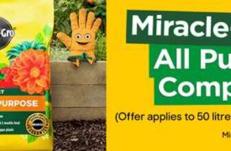 3 x Miracle-Gro Peat-free Multi-purpose Compost 50L free click and collect