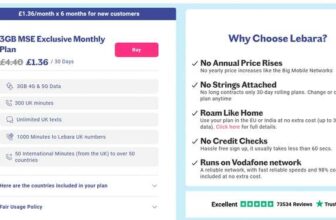 3GB MSE Exclusive Monthly Plan – £1.36/month x 6 months for new customers – then £4.40