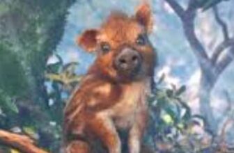 Adorable Adventures Xbox – via Iceland Store (no VPN required)