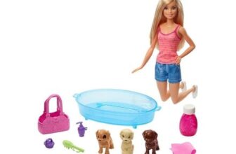 Barbie Doll & Accessories
