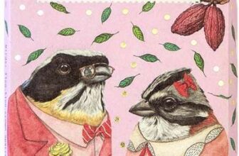 Bennetto Natural Foods Co. Raspberries in Dark Tangy Rich Dark Chocolate, 60% Cocoa 3x 80g Bars