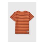 Boys Orange Textured Stripe T-Shirt (1-7yrs)