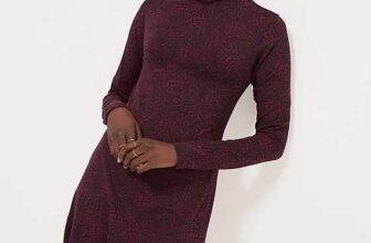 Burgundy Snake Print Long Sleeve Skater Mini Dress – Free C&C