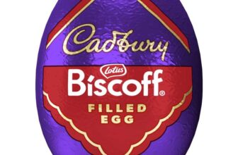 Cadbury Biscoff Chocolate Egg 32g
