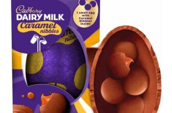Cadbury Dairy Milk Caramel Nibbles Chocolate Egg 88g
