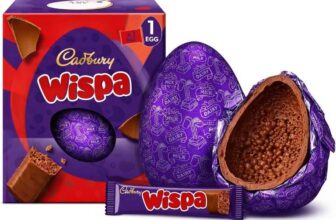 Cadbury Wispa Large Chocolate Easter Egg 177g – Instore Poole