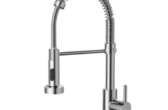 Cobbe Kitchen Tap, Spring Kitchen Sink Mixer Taps with Pull out Spray,