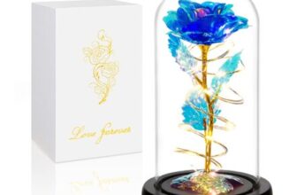Colorful Blue Light-up Rose in Glass Dome Gift