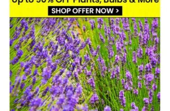 DOBIES CLEARANCE SALE Up To 90% Off Plants, Bulbs & More