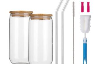DYUEE 2-Pack Glass Cups with Wooden Lids and Glass Straws