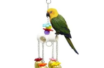 Didabotak Bird Bell Toy with Sweet Sound for Parrots