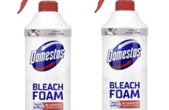 Domestos Mint Boost Bleach Foam Spray – 2 x 450ml (£3.10 – £3.70 with S&S) 4 for £7.40 / or 2 x Citrus Blast