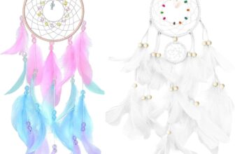 Dream Catcher for Girls Boys, 2PCS Handmade Dreamcatcher, Wall Hanging Dream Catcher Kit with Feathers, Boys Girls Bedroom Accessories, for Bedroom Living Room Home Decor, Gift for Christmas