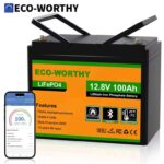 ECO-WORTHY 12V 100Ah LiFePO4 Lithium Leisure Battery, 1280Wh with Bluetooth (with code) ECOWORTHY UK Store Store