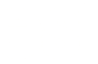 ERTH BEAUTY Black Professional Pro Hair Dryer 31x24cm