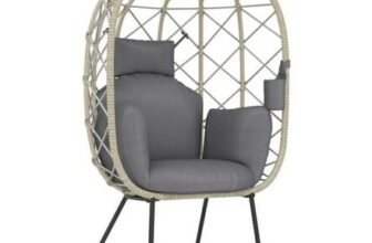 Egg Chair with Cushion