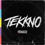Electric Callboy Tekkno Vinyl album With code