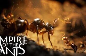 Empire of the Ants (Steam)