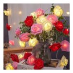 Falafoty Rose Fairy Lights, 6M, 40 LEDs, Battery-Operated, Red Pink