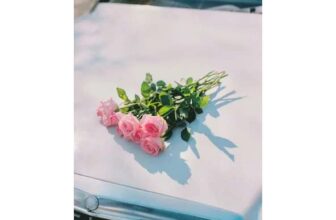 Foals Life is Yours Vinyl album