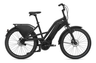 Giant Delivery E 25 Km/h E-Bike