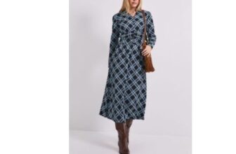 Gingham Collared Shirred Back Dress