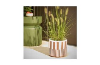Habitat Terracotta Glaze Ceramic Orange Planter