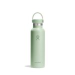 Hydro Flask Standard Mouth Water Bottle, 21 Oz, Aloe