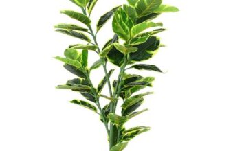 INMOZATA 4ft Outdoor UV-Resistant Artificial Rubber Tree with Adjustable Branches