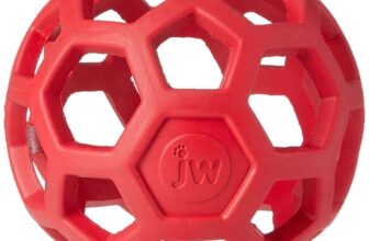 JW Hol-ee Roller Dog Toy
