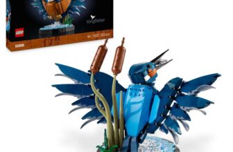 LEGO Icons Kingfisher Bird Set 10331