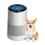 MORENTO Air Purifiers for Home, Air Purifier