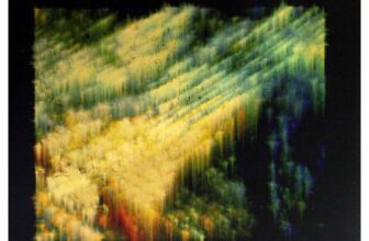 Maribou State Portraits Vinyl