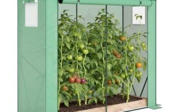 Mini Greenhouse,