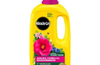 Miracle-Gro 121180 Azelia, Camellia & Rhododendron Concentrated Plant Food, 800 ml, Natural