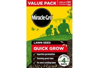Miracle-Gro Quick Grow Lawn Seed 16m2 Ryegrass Fescues Fast Grass Seed 480g