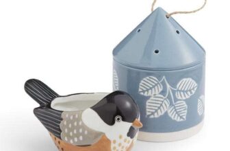 Natural History Museum Bird Trinket Box Gift Set – Free C&C Only – Very Limited Locations